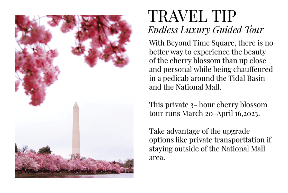 travel tip- beyond time square- cherry blossooms